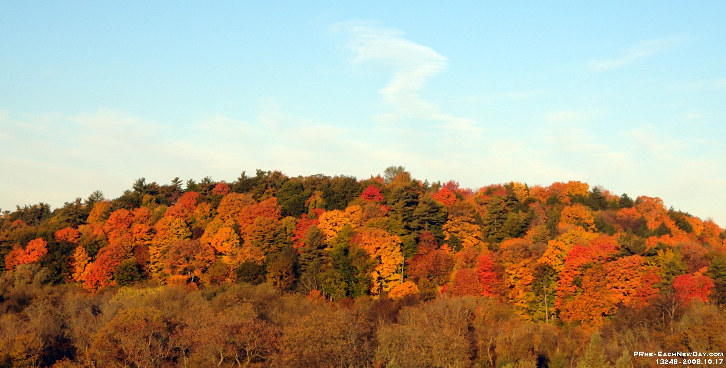 13248CrLeSh - Autumn colours in Rouge Valley Conservation Area